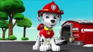 Marshall de los paw patrol en español latino