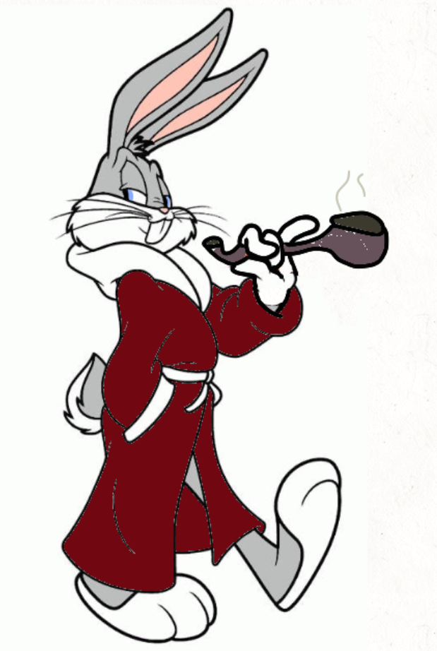 Bradley Bunny