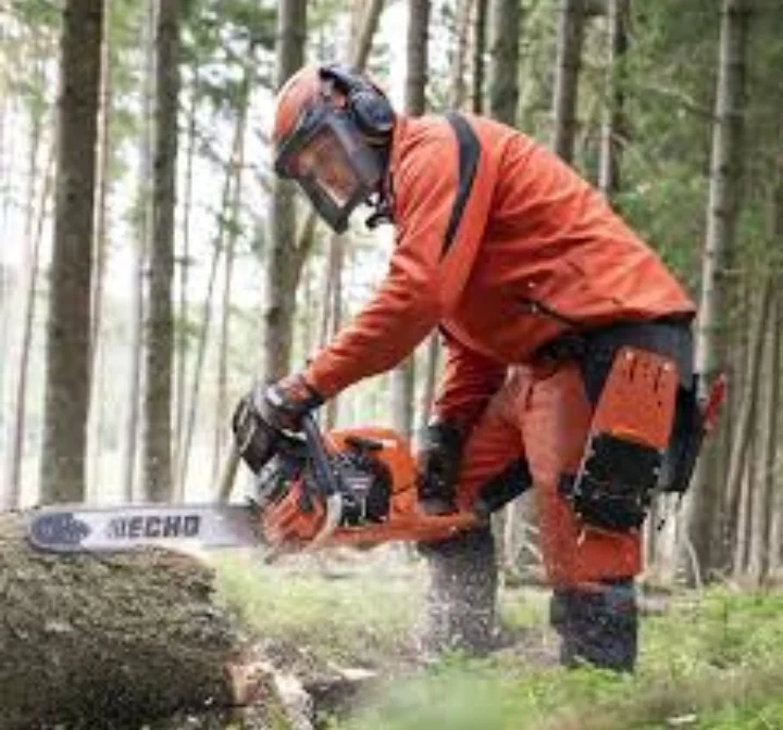 Motosierra/Chainsaw