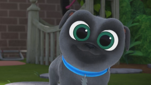 Bingo (Puppy Dog Pals) [Elisha Williams]
