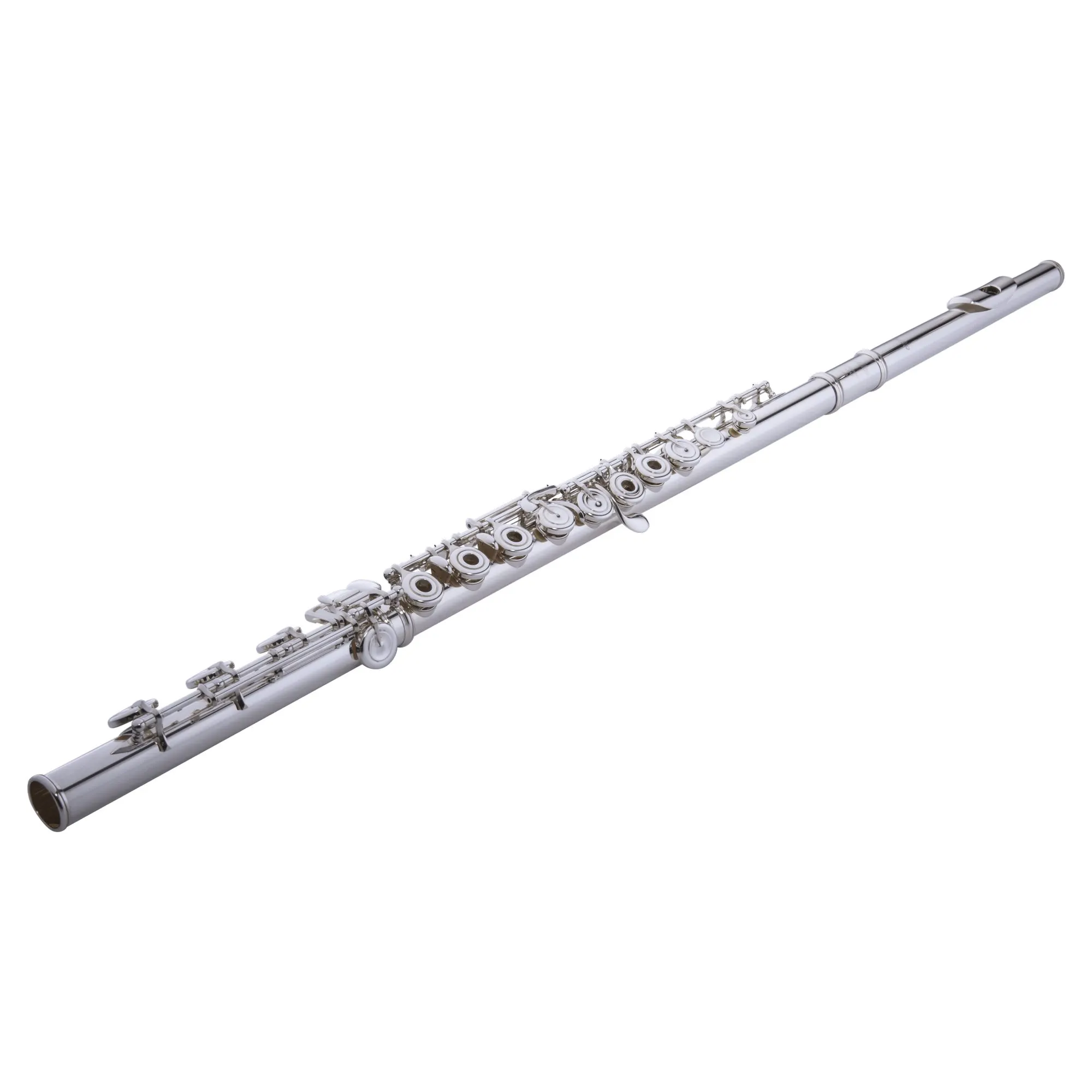 Literally a Western concert flute