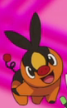 Tepig (Pokémon anime series)