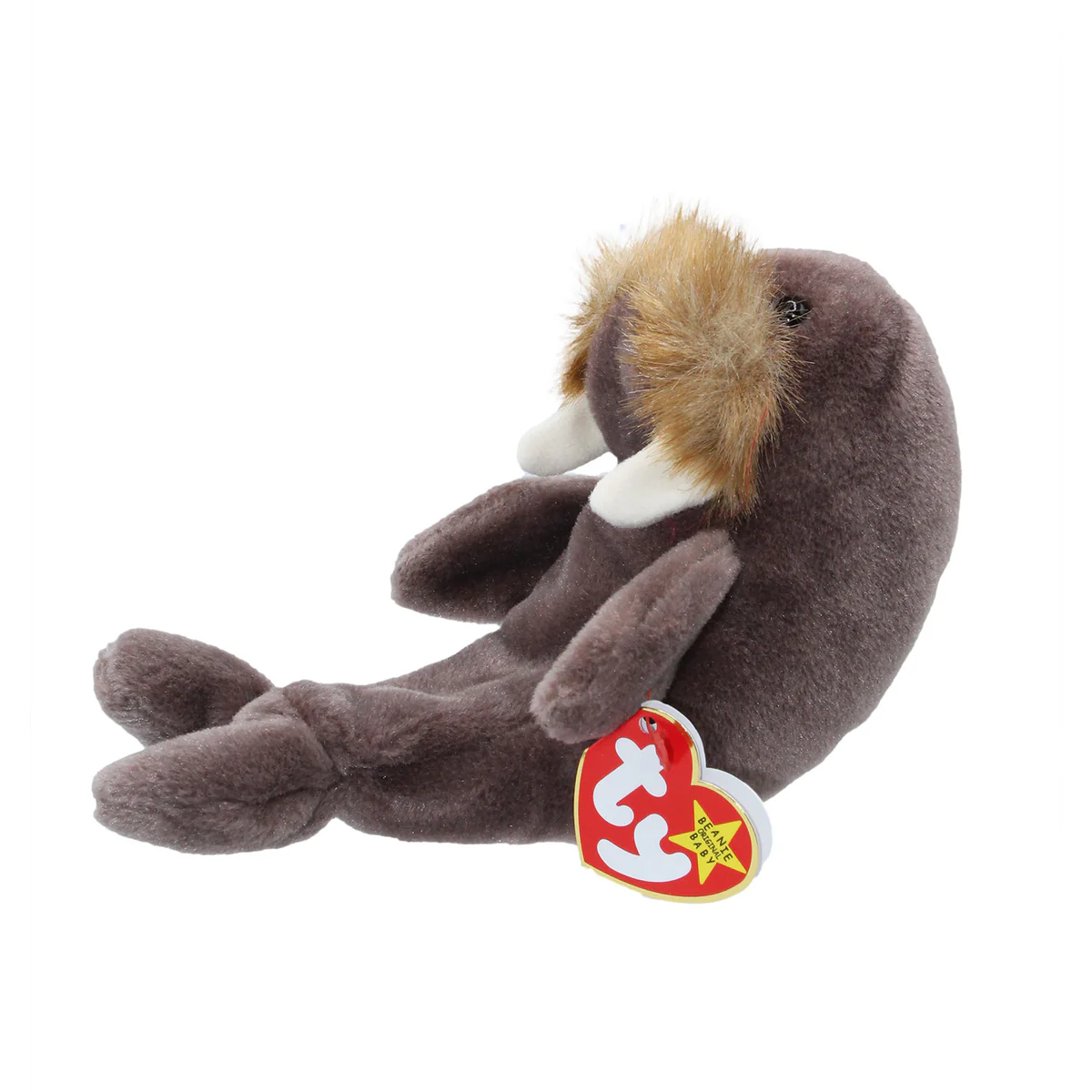 Jolly The Walrus