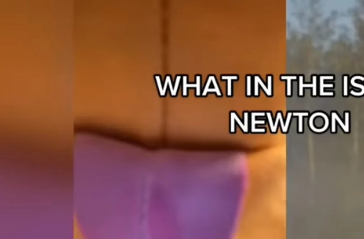 DonaldDucc Screaming