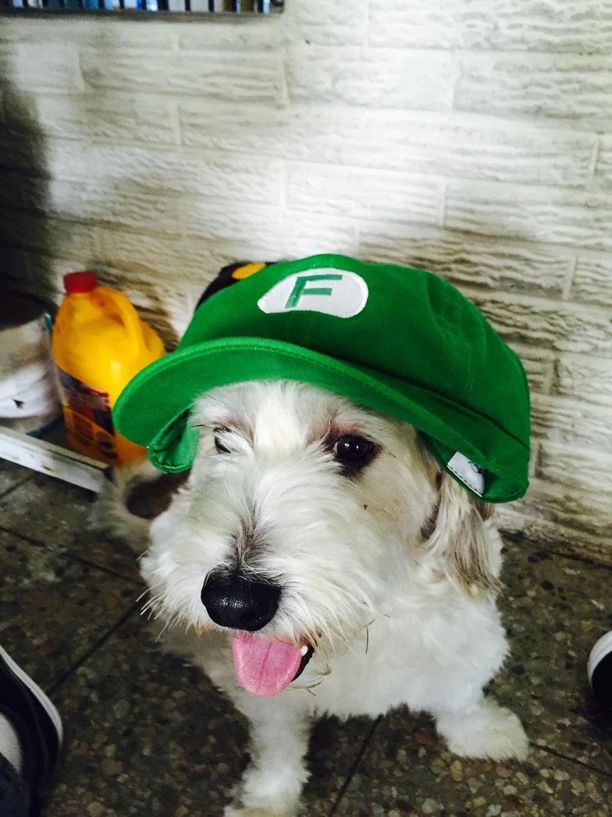 Curly - Fernanfloo [Latino]