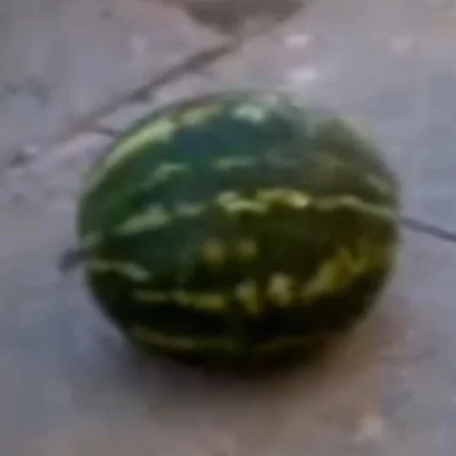 Арбуз арбуз привет/Melon melon hi