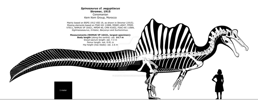 Accurate Spino