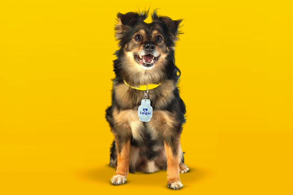 Spike el perro (Lipigas)