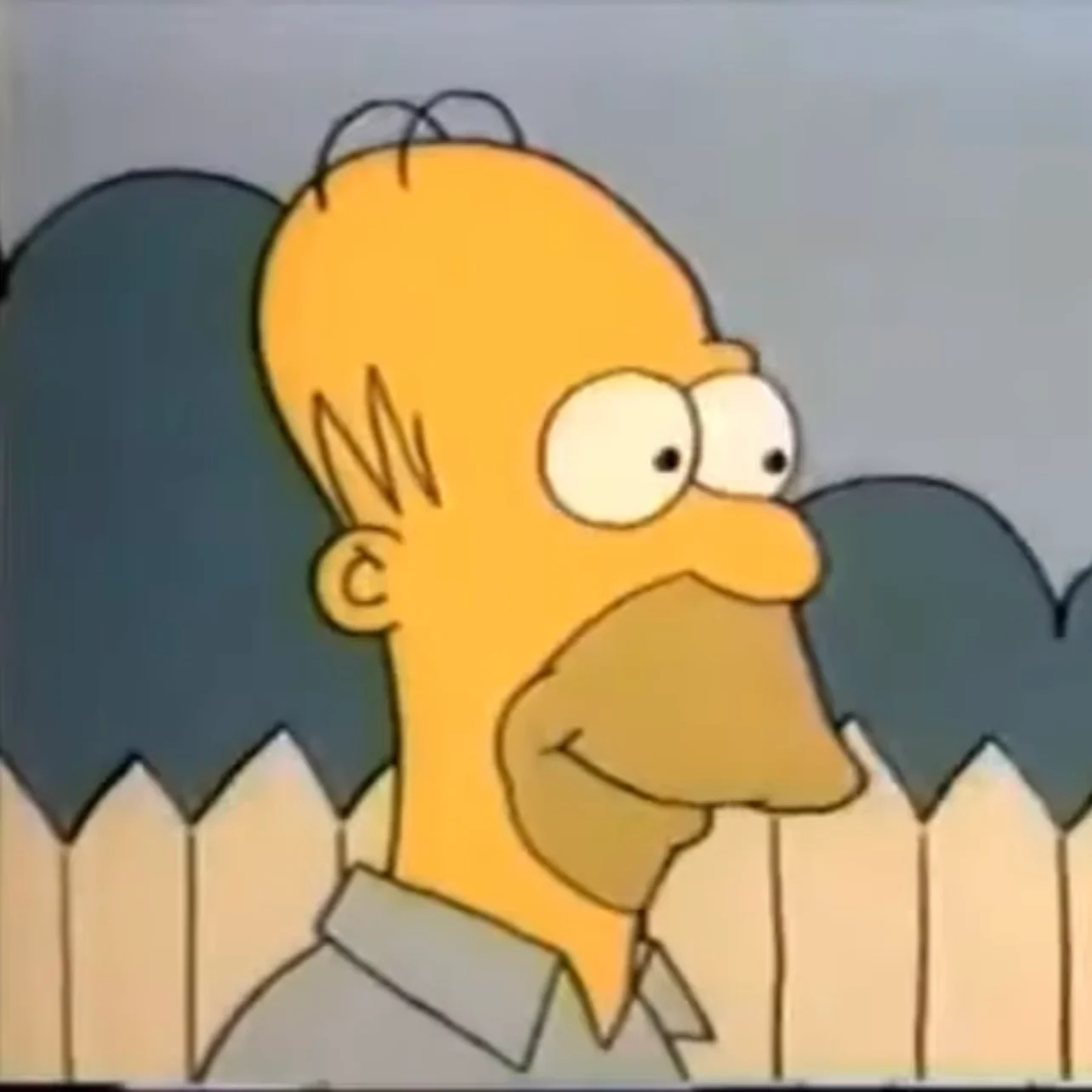 Homer Simpson (Tracey Ullman Shorts)