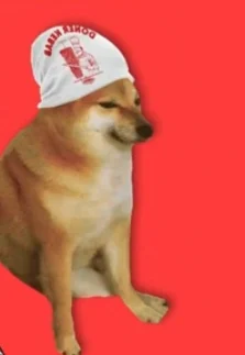 Un doggo kebbabbaro