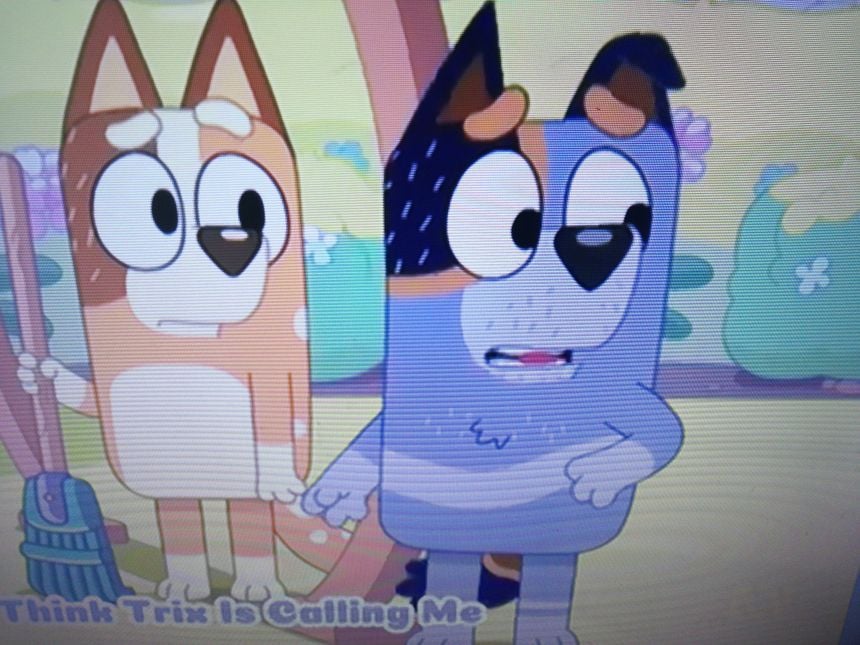 Stripe castellano(Bluey)