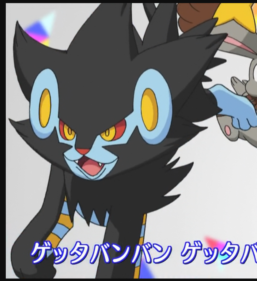 Luxray (Pokémon anime series)