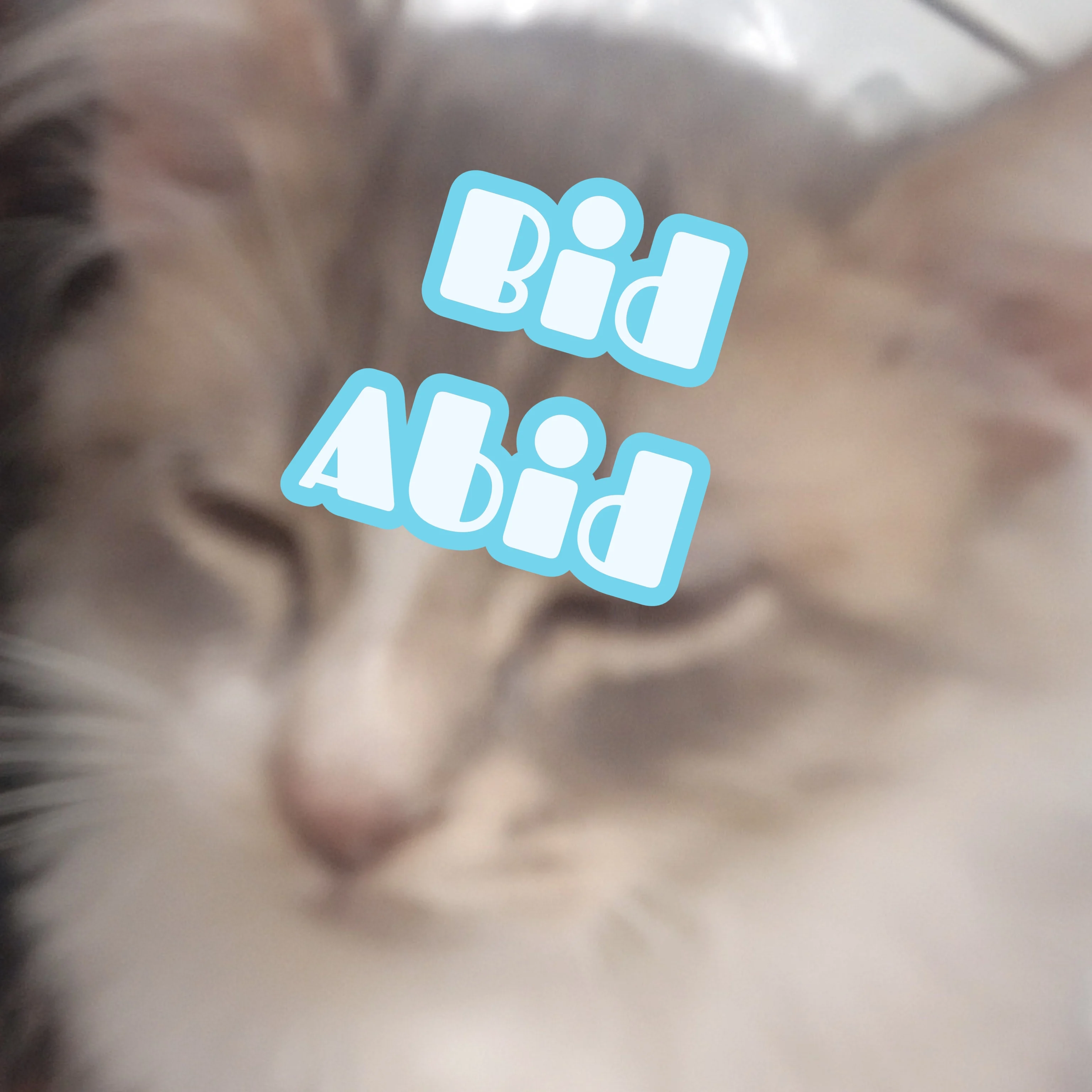 Bid Abid