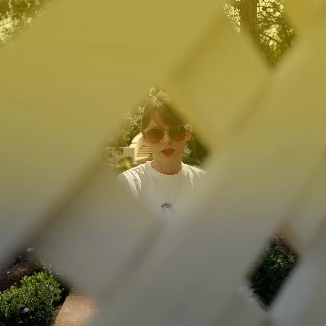 Taylor Swift (Late 20s Mixed: Lover & Reputation) [Strong Chest Voice]