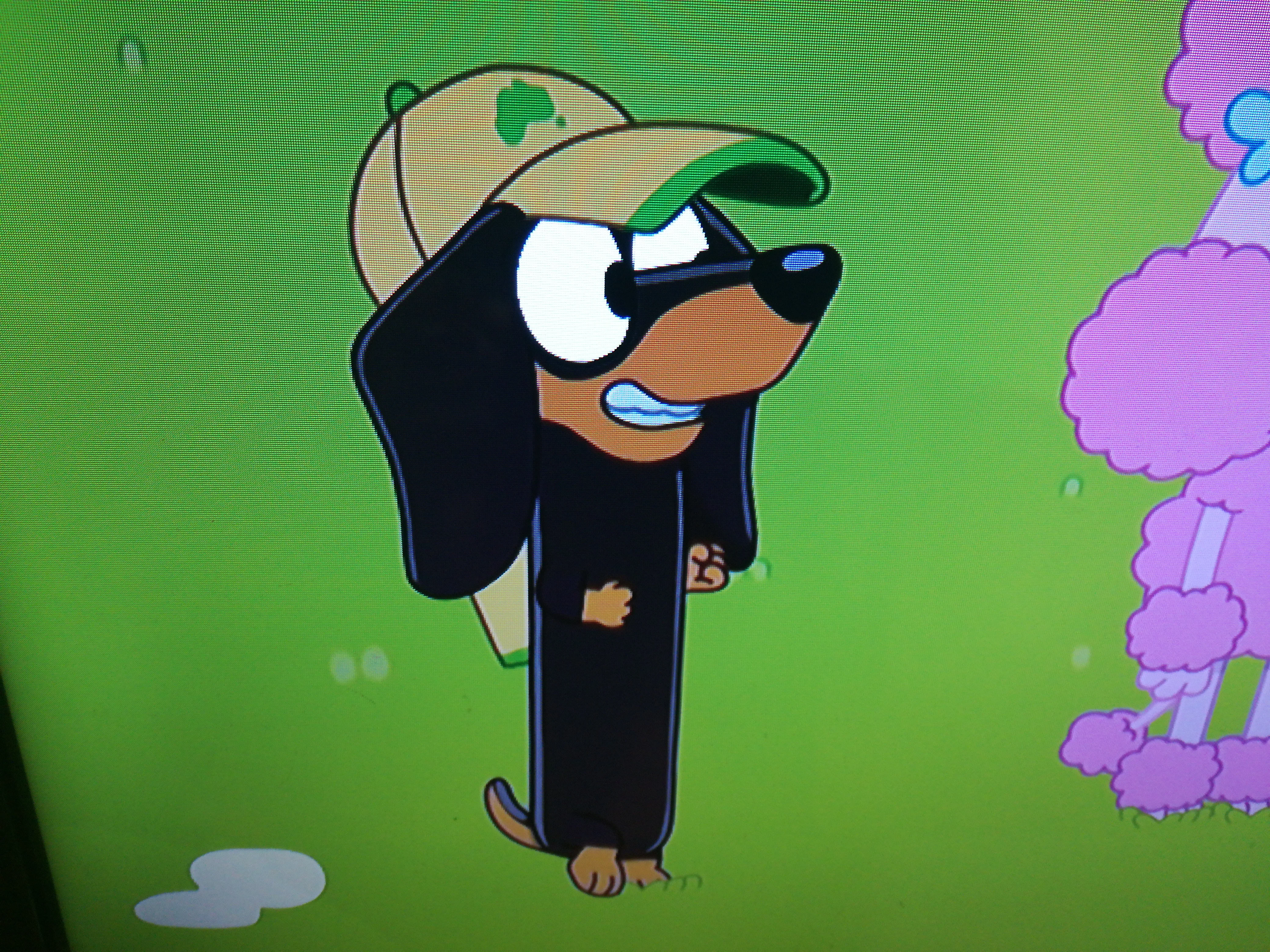 Snickers castellano(Bluey)