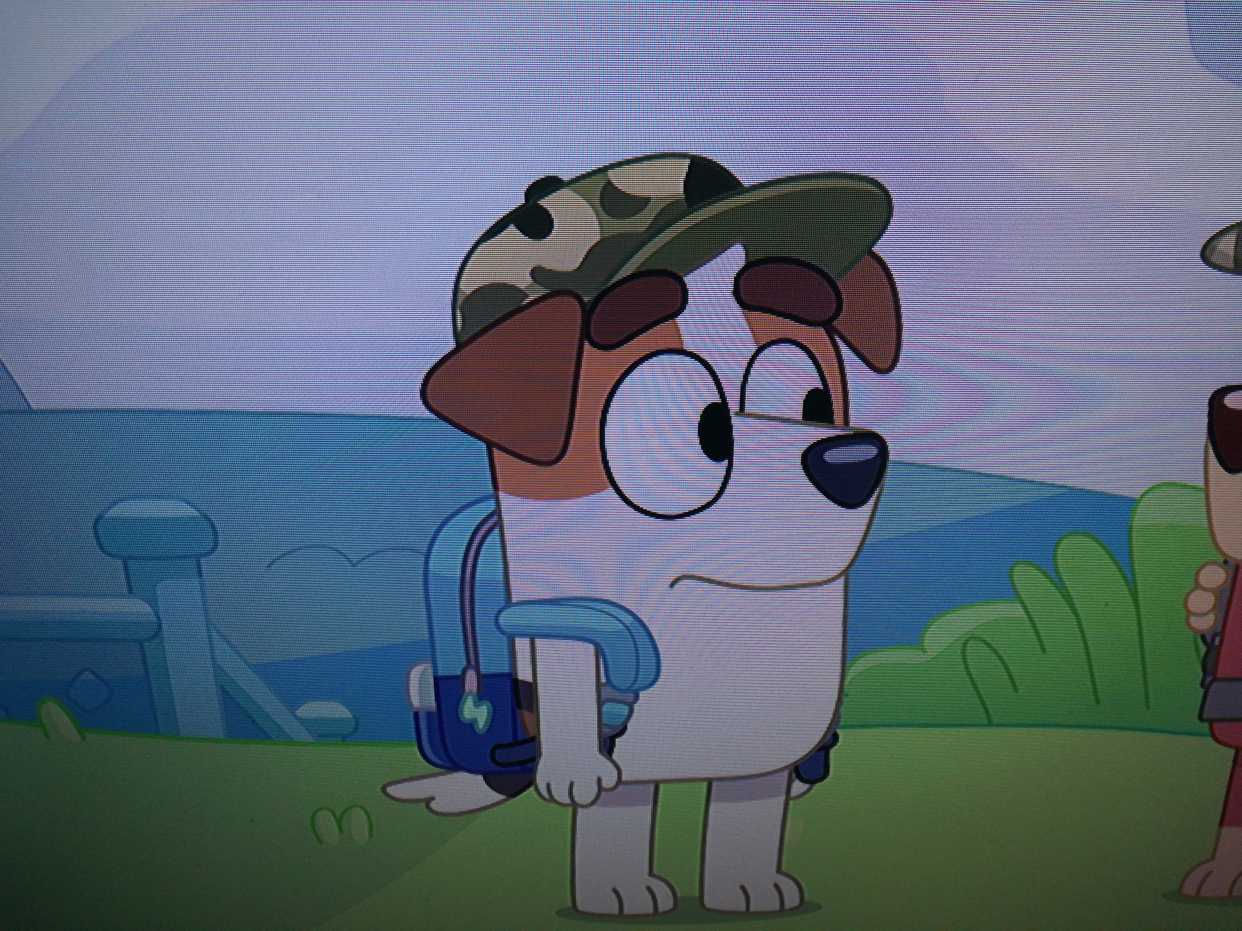 Jack Russel castellano(Bluey)