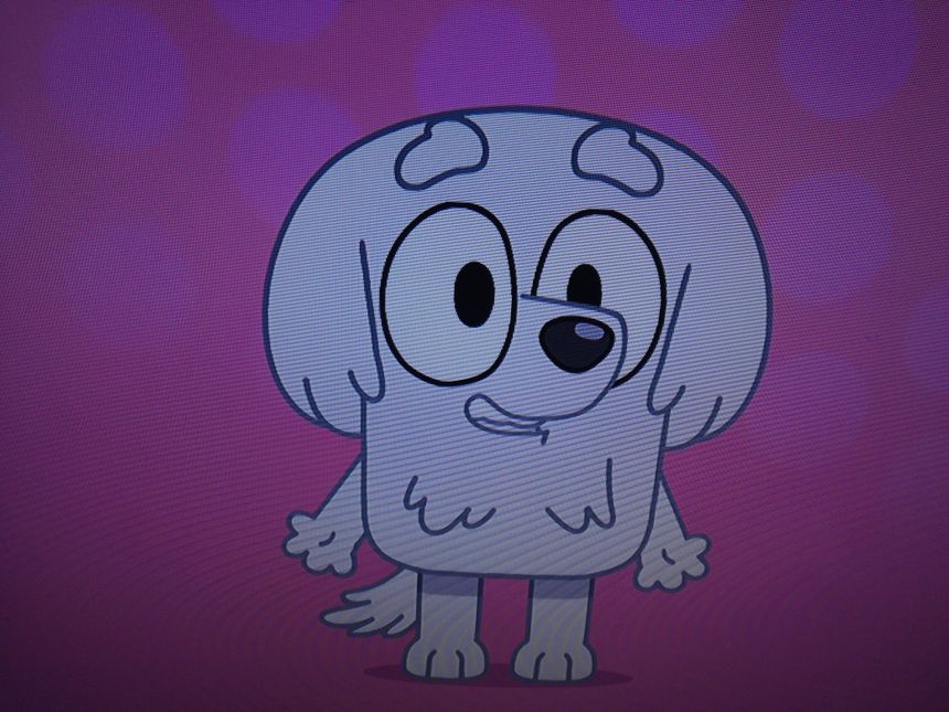 Lila castellano(Bluey)