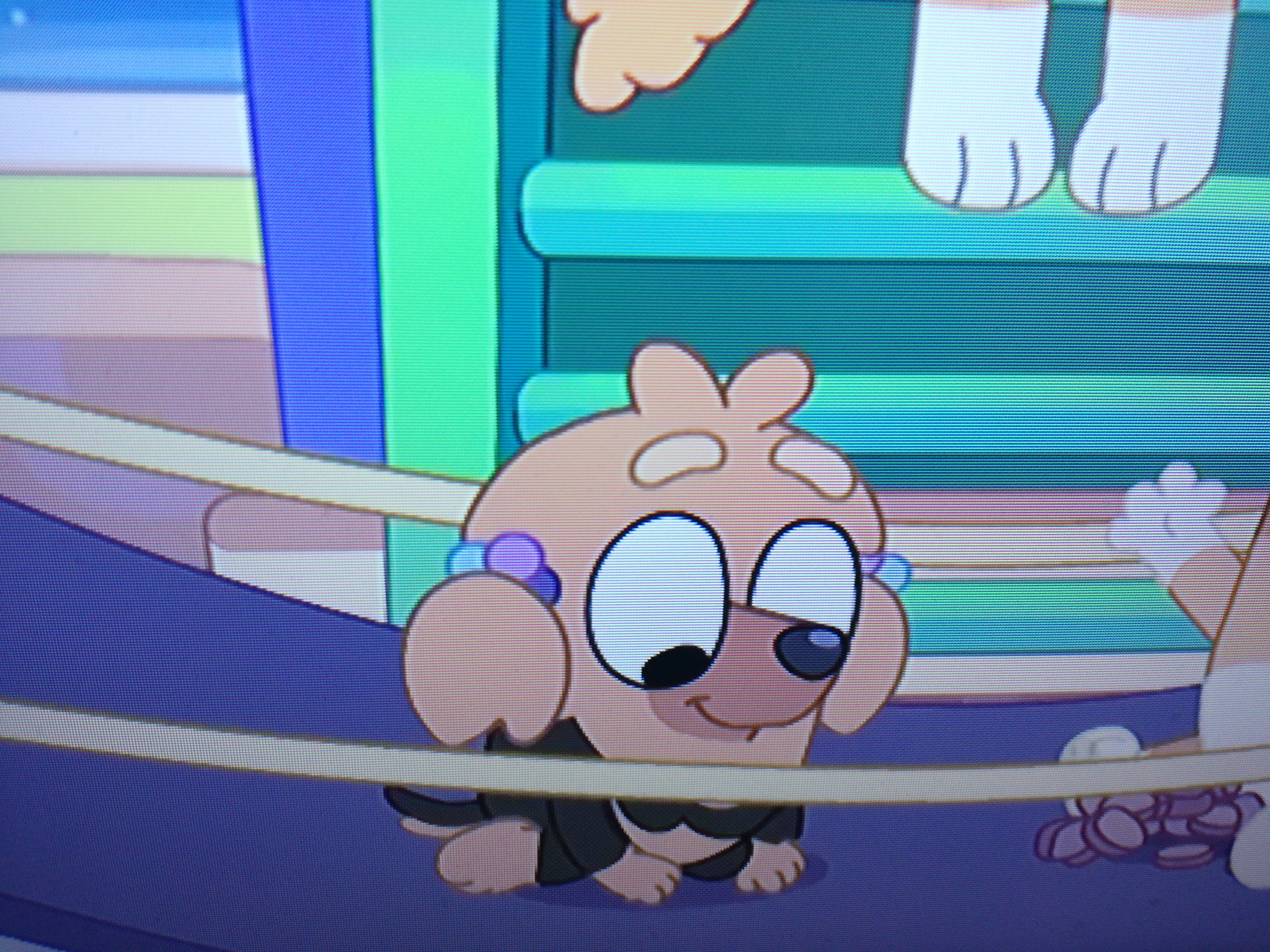 Missy castellano(Bluey)