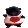 zerkgt