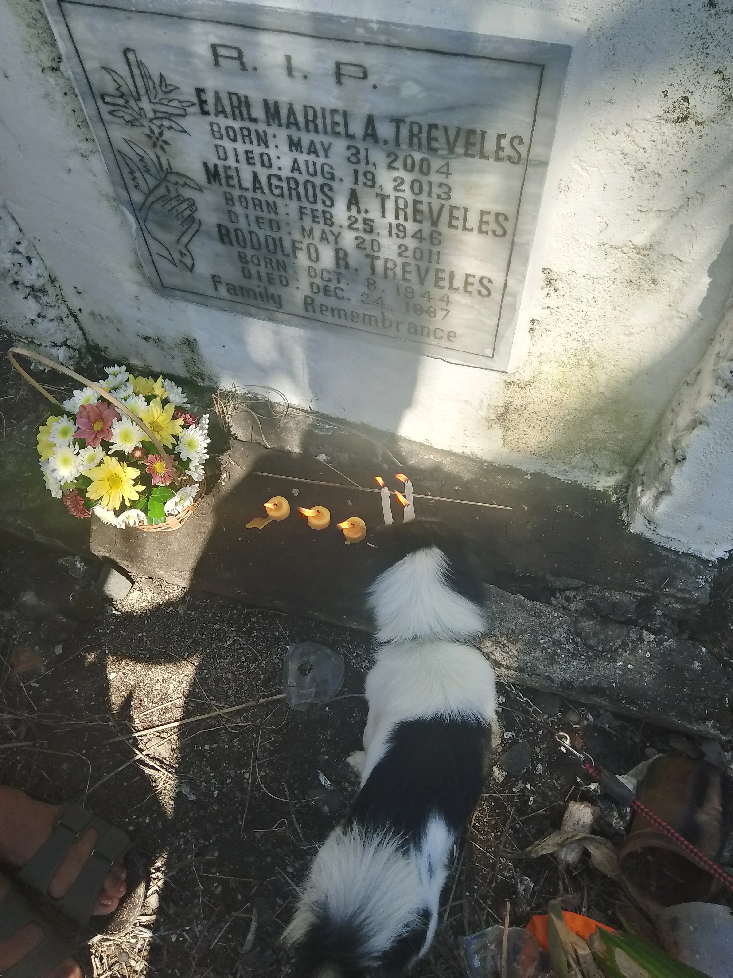 Hachiko hachikwa 