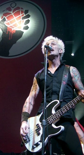 Mike Dirnt (Green Day Bassist)