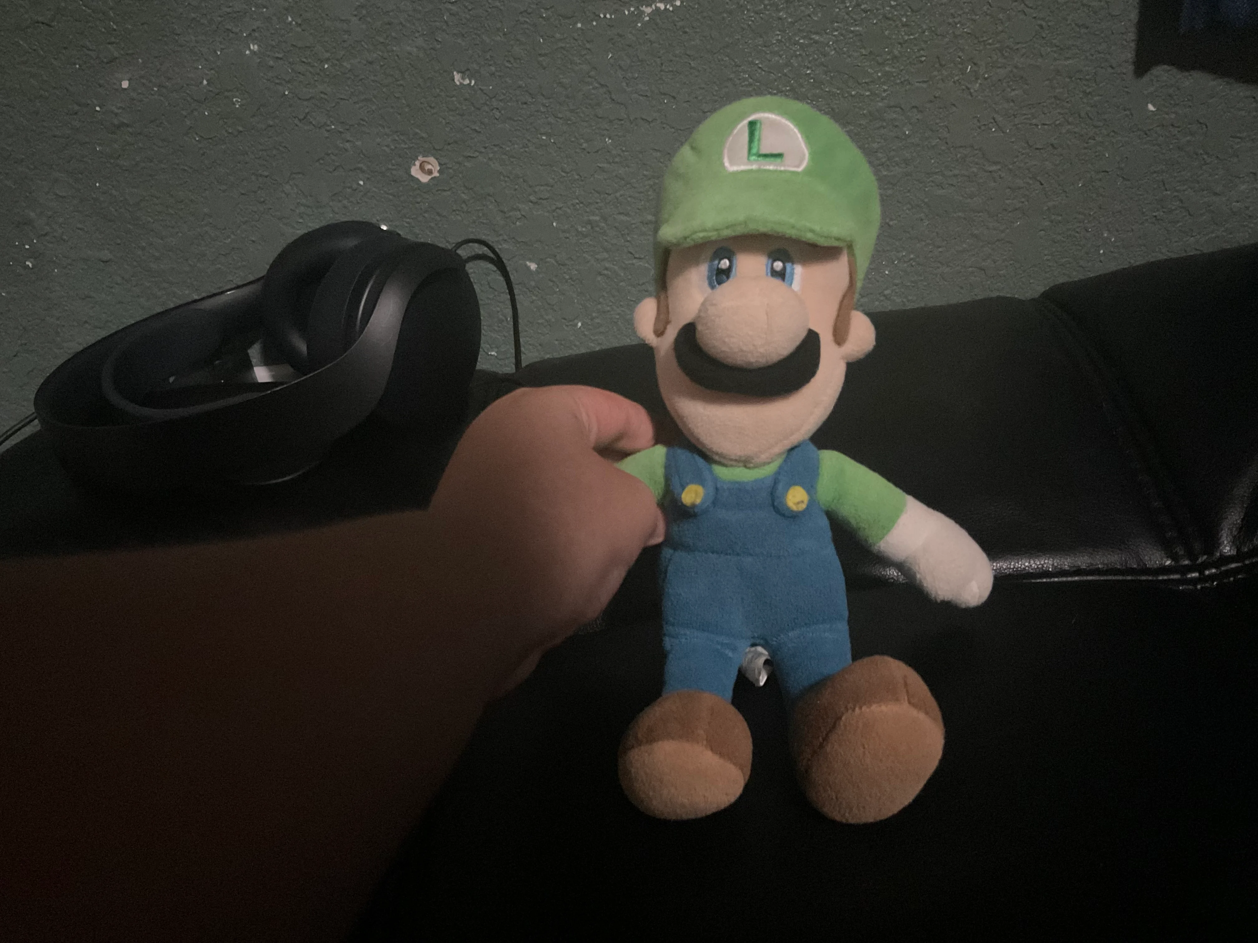 Luigi fan number 1