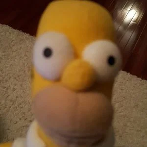 Homer Simpson