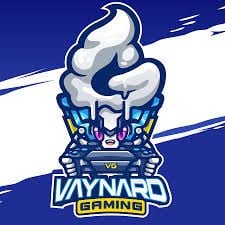 Vaynard gaming