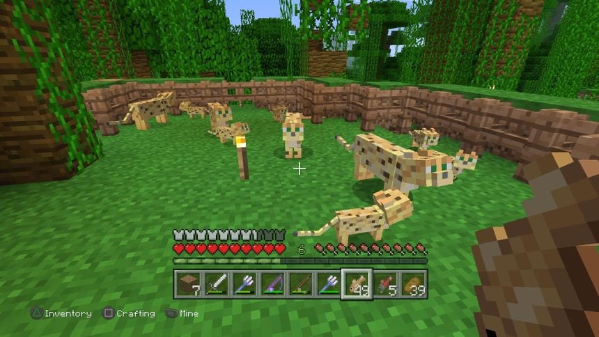 Ocelot (Minecraft)