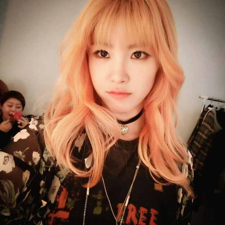 Hyosung secret