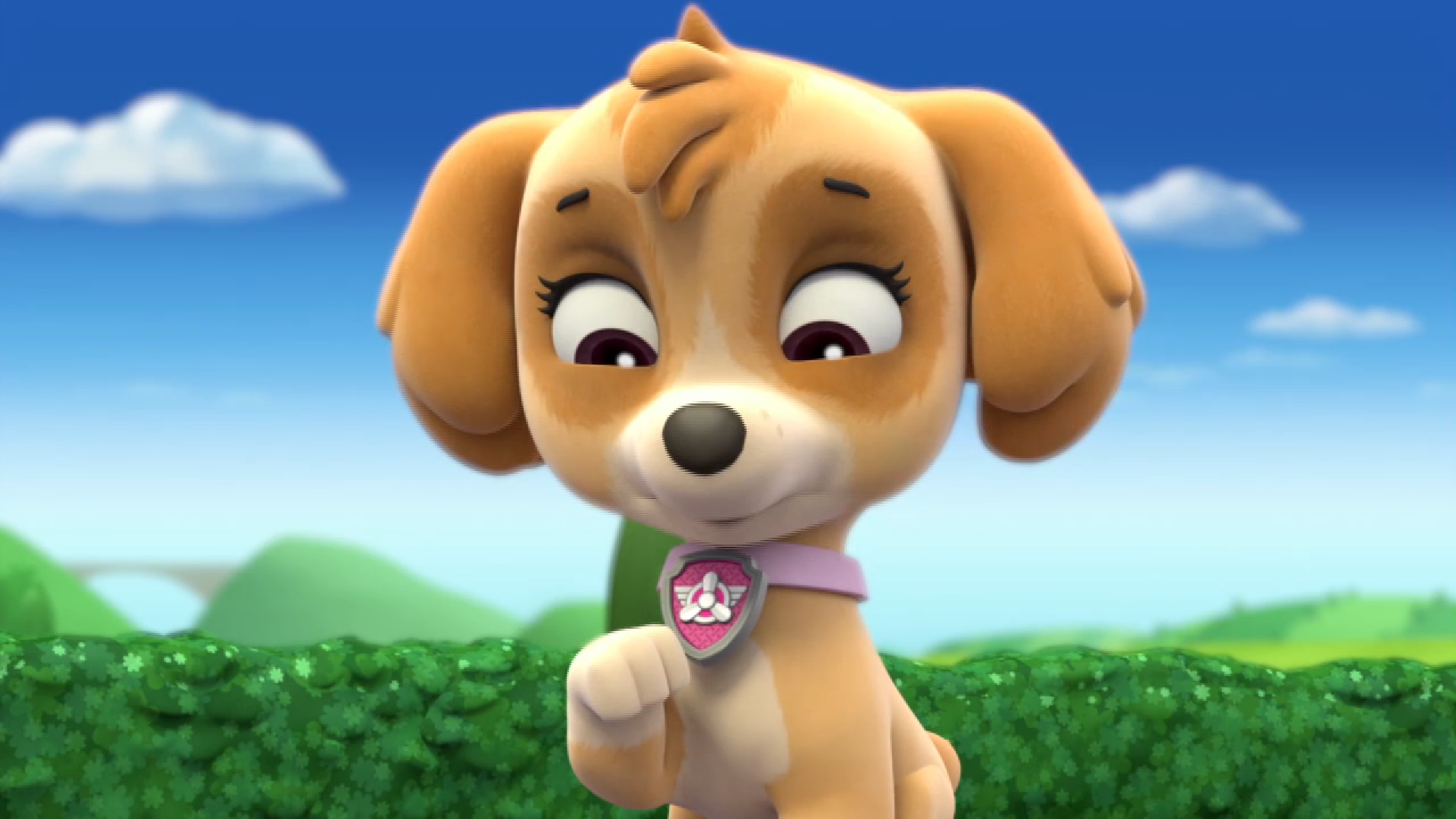 Paw Patrol Skye (DE)