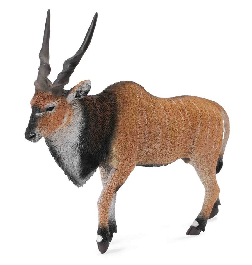 Bashkir dad the eland antelope