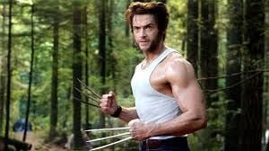 Logan / Wolverine / Hugh Jackman