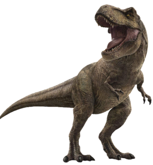 Jurassic park Roberta