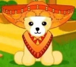 Poncho (Webkinz: Candy Bash)