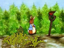 Peter Rabbit (Rory Carty)