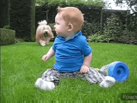 Cooper (CuteBabyShockedByBarkingDog/Florusnoppen)