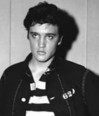 Elvis Presley (I Got Stung Era)