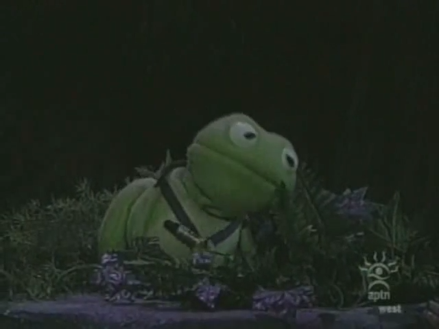 Sammy the Frog (The Adventures of Dudley the Dragon)