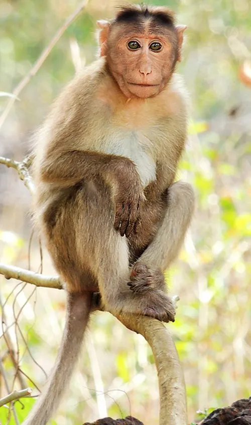 test1