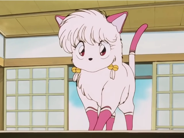Shampoo (cat form) (Ranma 1/2 1989)