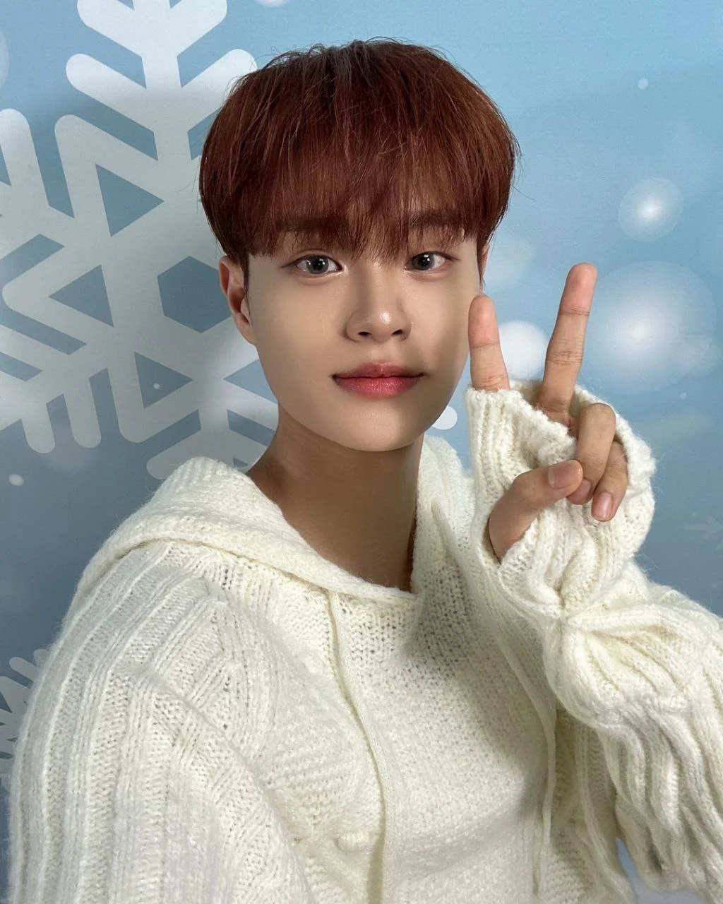 LEE DAEHWI (AB6IX / WANNA ONE) AI MODEL