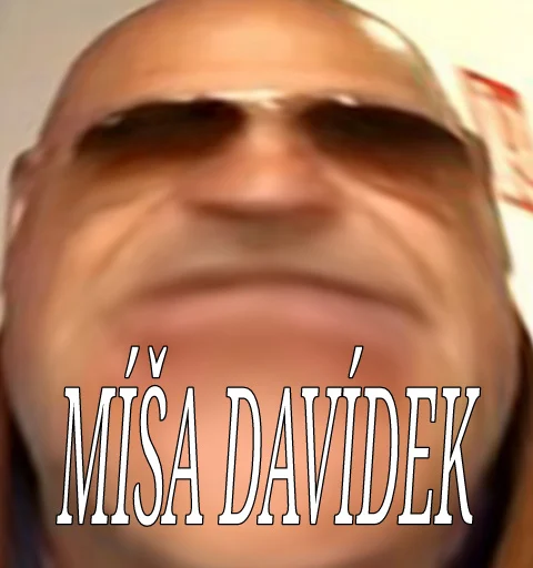 Michal David 