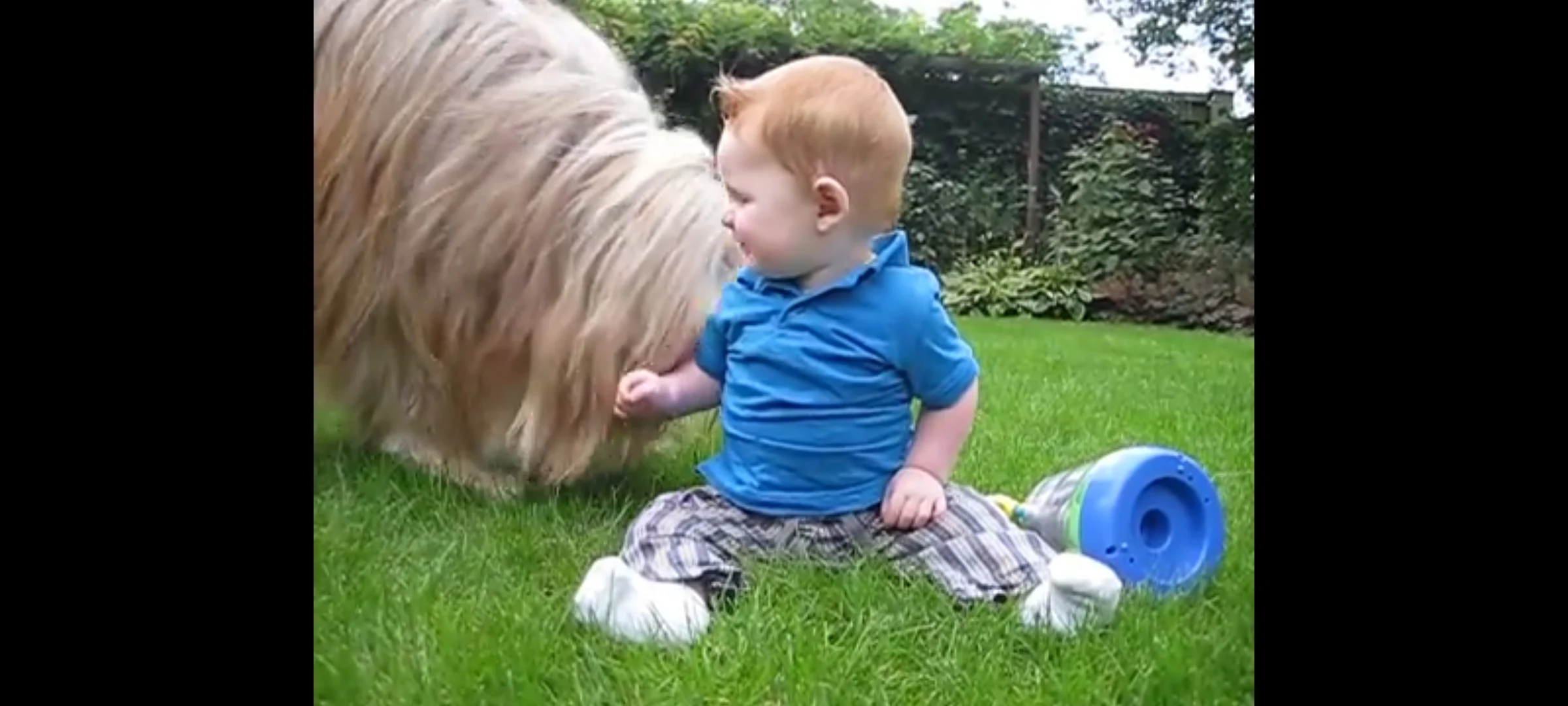 Pim (CuteBabyShockedByBarkingDog/Florusnoppen)