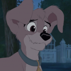 Scamp