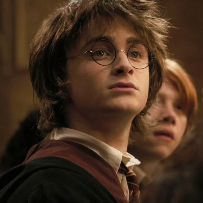 Harry Potter PT BR