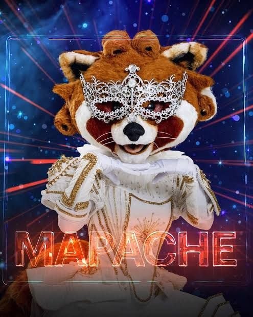 Mapache ¿Qelm?