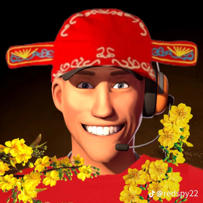 vietnam scout