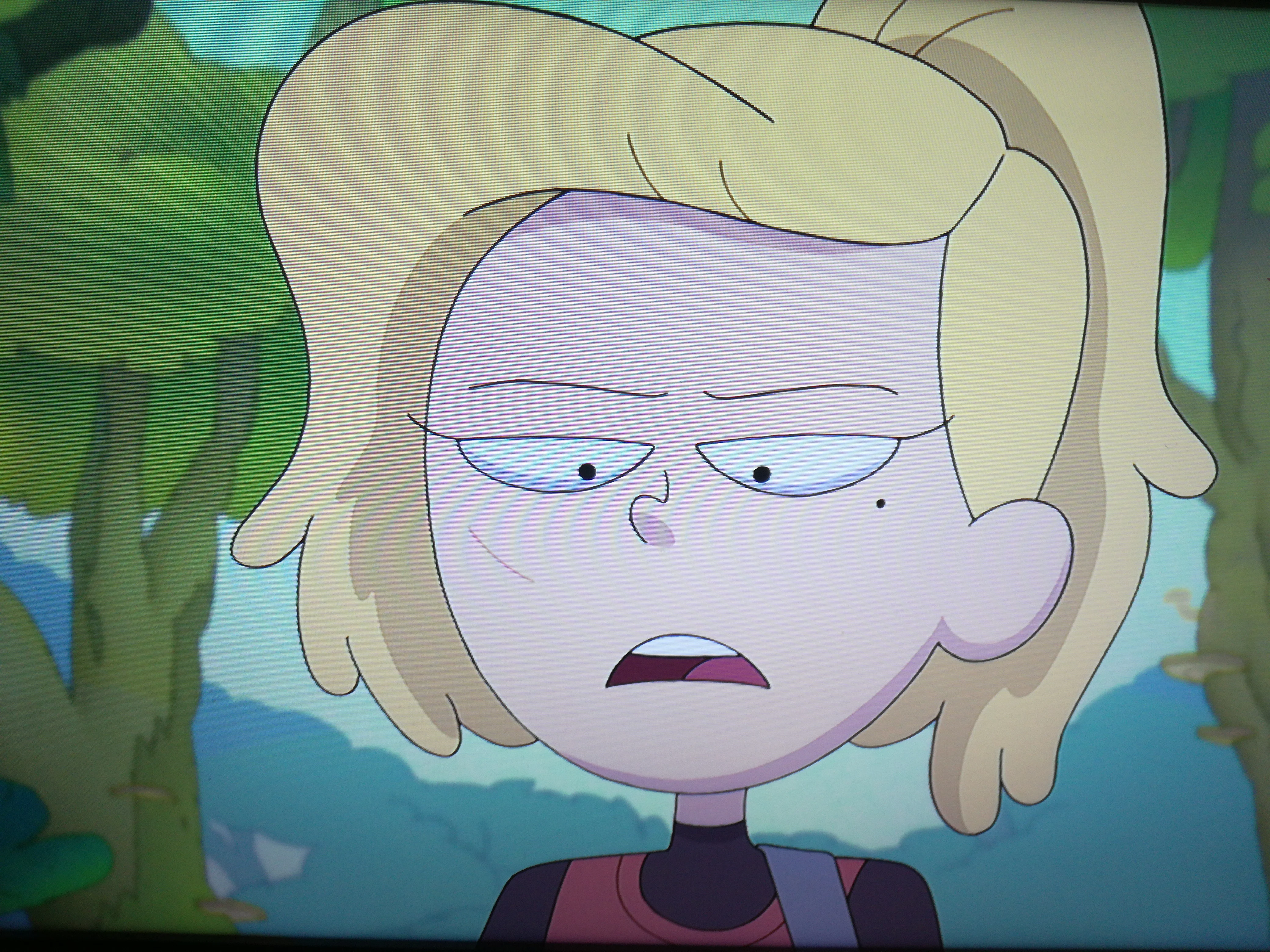 Shasha castellano(Amphibia)
