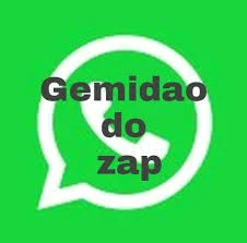 Gemidão do Zap